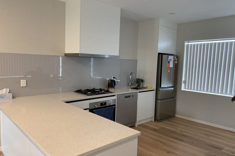 Photo of property in 24e Poinsettia Place, Henderson, Auckland, 0610