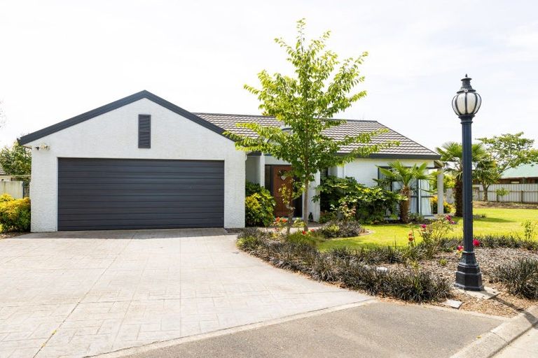 Photo of property in 806e Williams Street, Mahora, Hastings, 4120