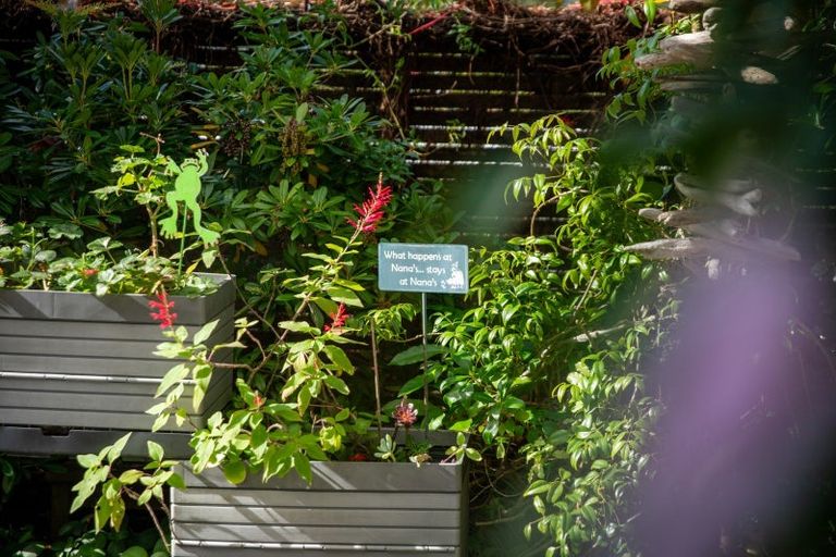 Photo of property in 37 Tiketike Way, Brooklyn, Wellington, 6021