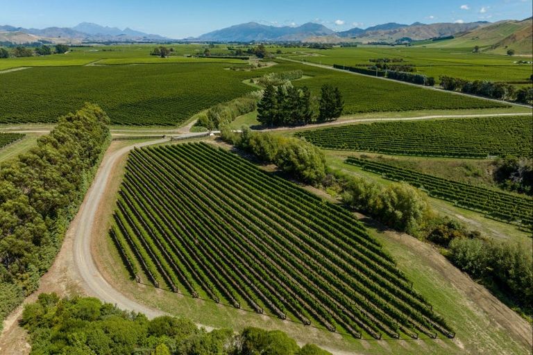 Photo of property in 1723 Redwood Pass Road, Lower Dashwood, Blenheim, 7274