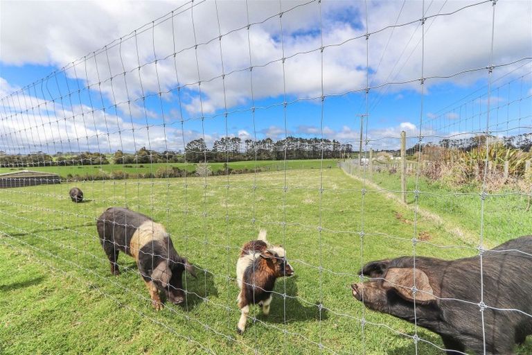 Photo of property in 2599 Mountain Road, Tariki, Stratford, 4394