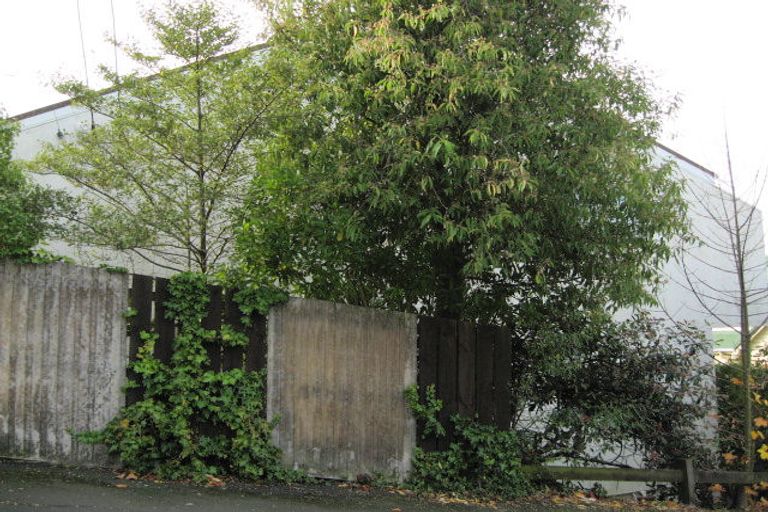 Photo of property in 21a Pacific Street, Roslyn, Dunedin, 9010