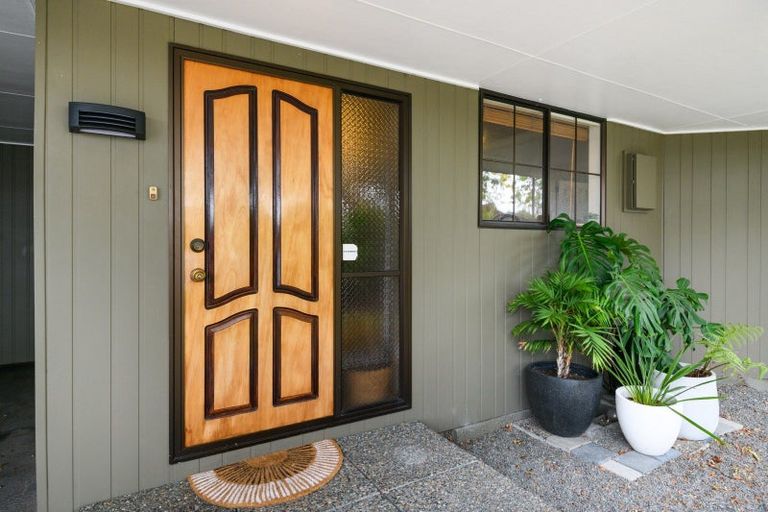 Photo of property in 8 Mcarthur Street, Terrace End, Palmerston North, 4410