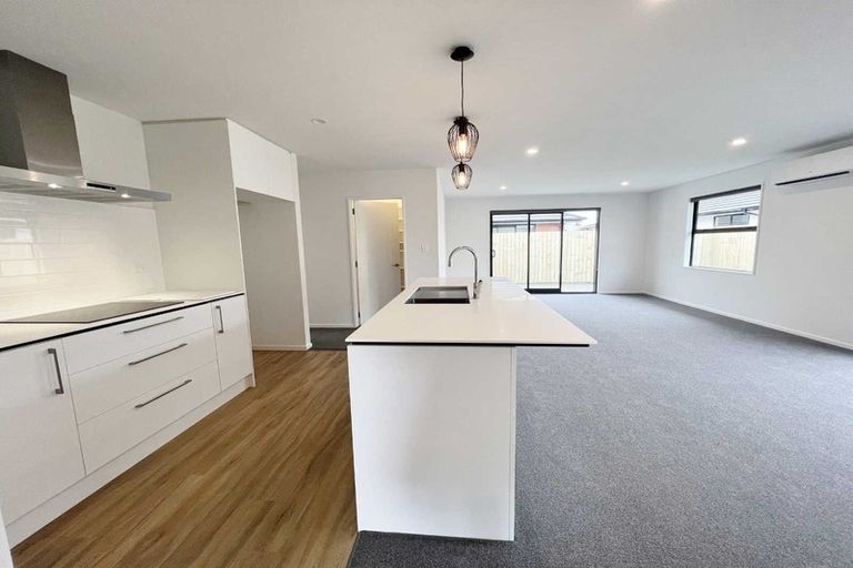 Photo of property in 3 Sarah Nicholls Street, Belfast, Christchurch, 8051