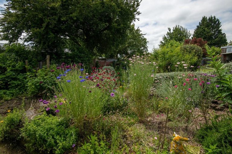 Photo of property in 65 Michael Street, Rakaia, 7710