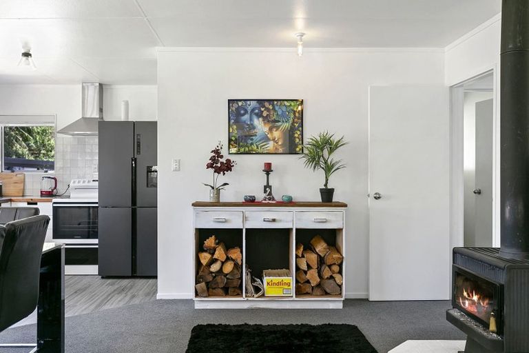 Photo of property in 119 Rereahu Avenue, Hatepe, Turangi, 3382