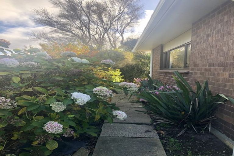 Photo of property in 197 Highcliff Road, Shiel Hill, Dunedin, 9013