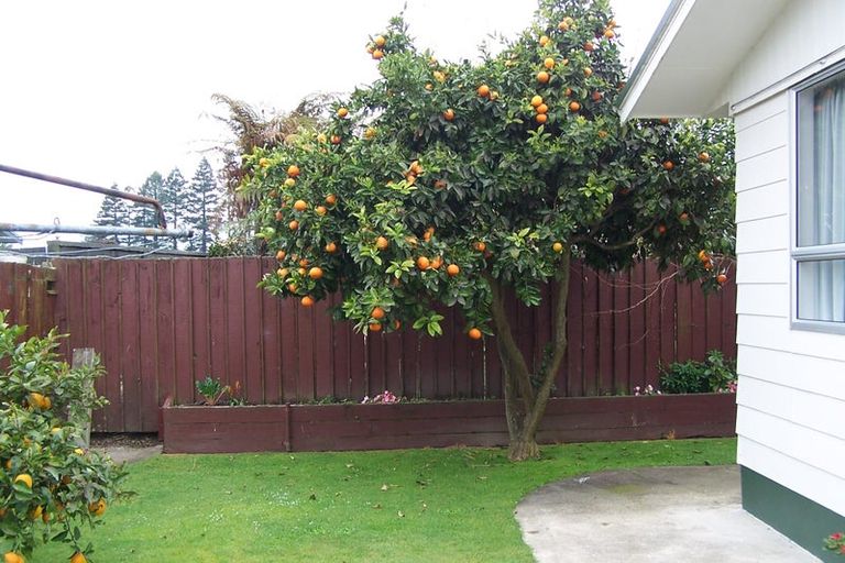 Photo of property in 37 Puriri Crescent, Edgecumbe, 3120