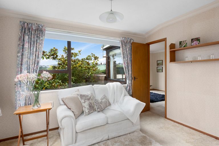 Photo of property in 43 Sunbury Street, Andersons Bay, Dunedin, 9013