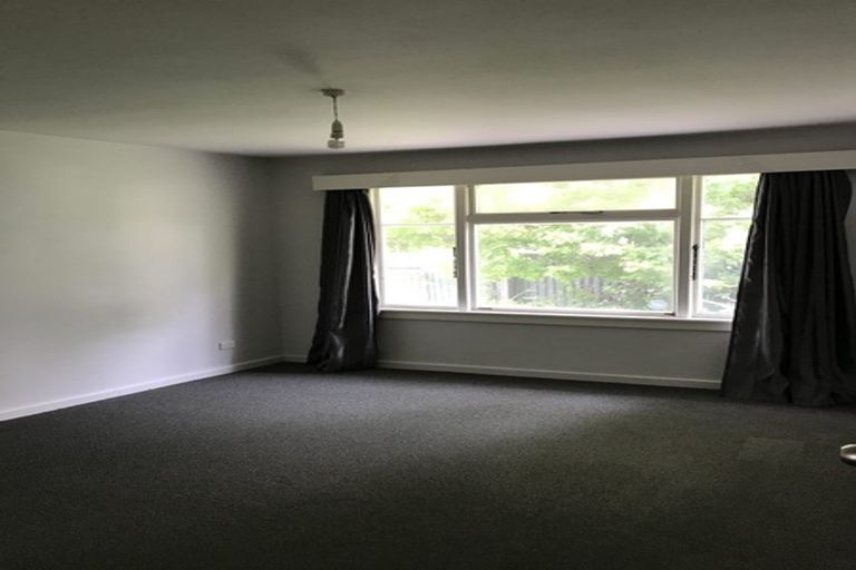 Photo of property in 40 Harman Street, Addington, Christchurch, 8024