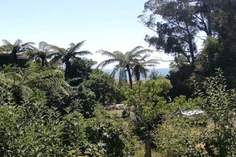 Photo of property in 14 Gibbs Road, Collingwood, 7073