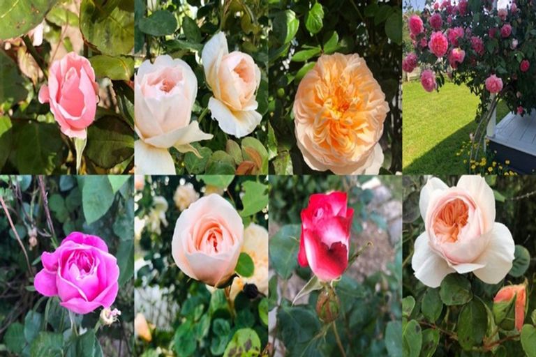 Photo of property in 6855 State Highway 26, Paeroa, 3673