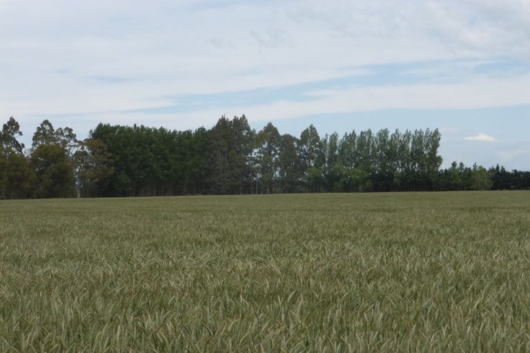 Photo of property in 72 Grahams Road, Tinwald, Ashburton, 7774