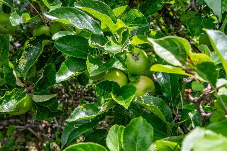 Photo of property in 33 Aylmers Valley Road, Akaroa, 7520