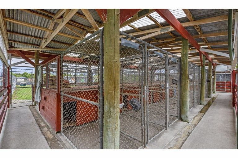 Photo of property in 349 Hauraki Road, Orongo, Thames, 3574