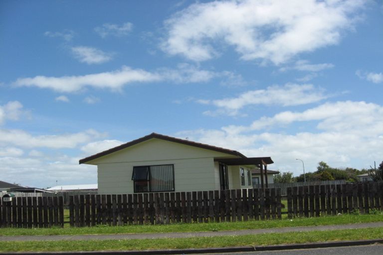 Photo of property in 90 Maplesden Drive, Clendon Park, Auckland, 2103