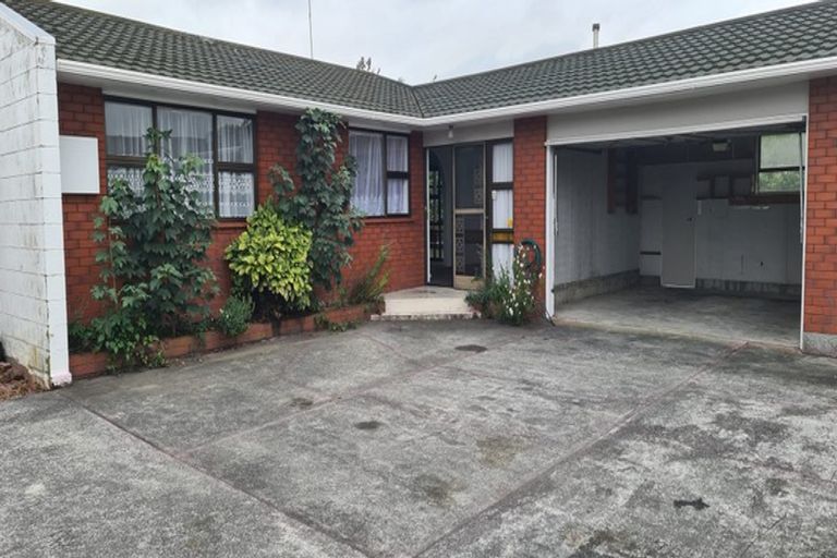 Photo of property in 217e Ruahine Street, Roslyn, Palmerston North, 4414