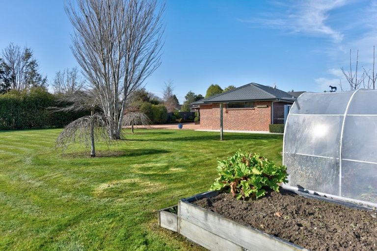 Photo of property in 36 Ruia Street, Gore, 9710