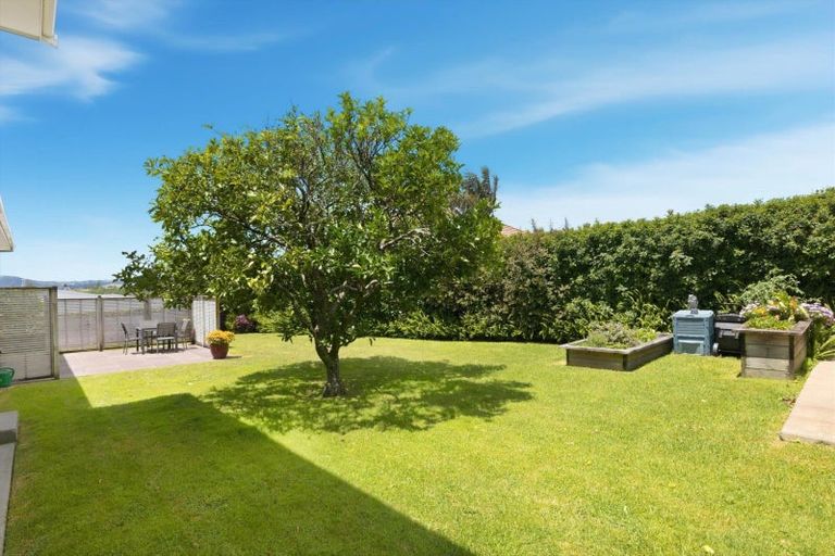 Photo of property in 29 Judea Road, Judea, Tauranga, 3110