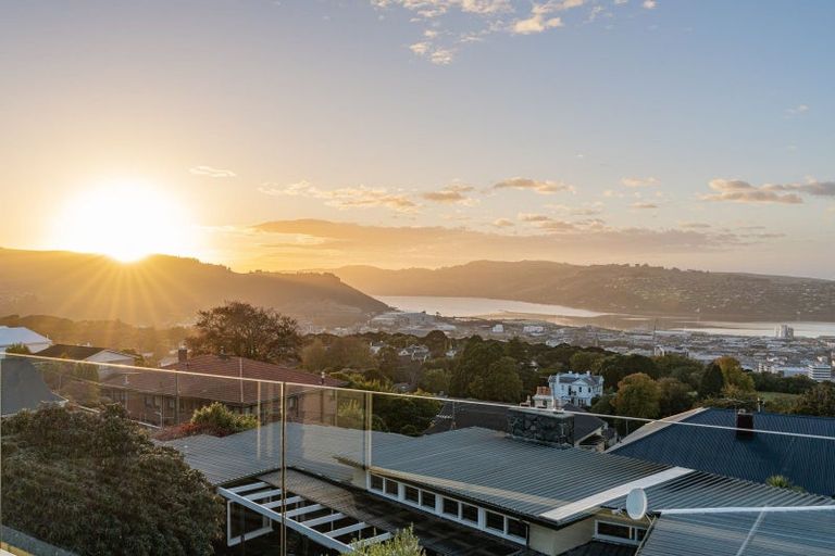 Photo of property in 29 Selkirk Street, Roslyn, Dunedin, 9010