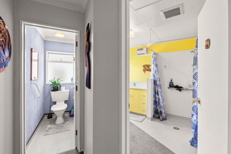 Photo of property in 20 Downes Avenue, Springvale, Whanganui, 4501