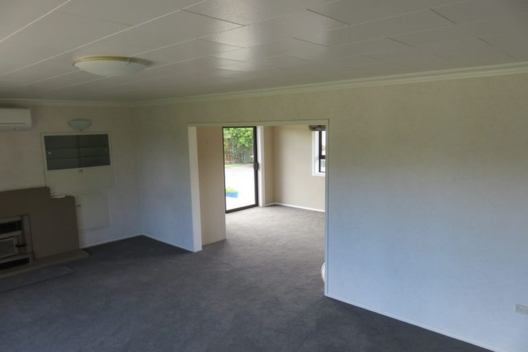 Photo of property in 45 Gladstone Road, Levin, 5571