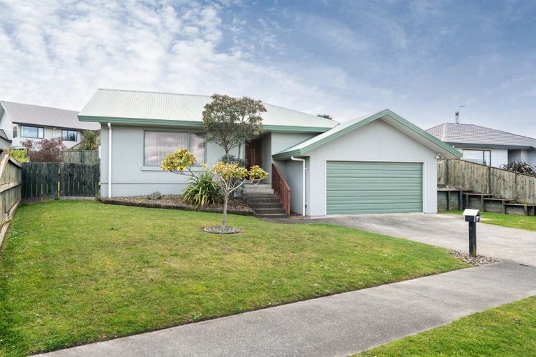 Photo of property in 62 Fraser Drive, Feilding, 4702