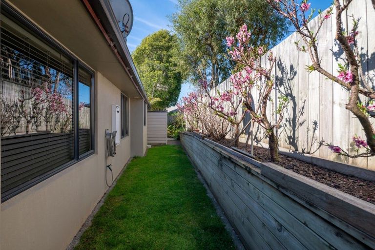 Photo of property in 64d Iles Road, Lynmore, Rotorua, 3010