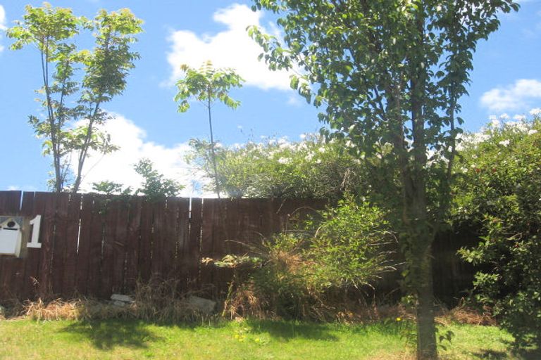 Photo of property in 1 George Street, Te Puke, 3119