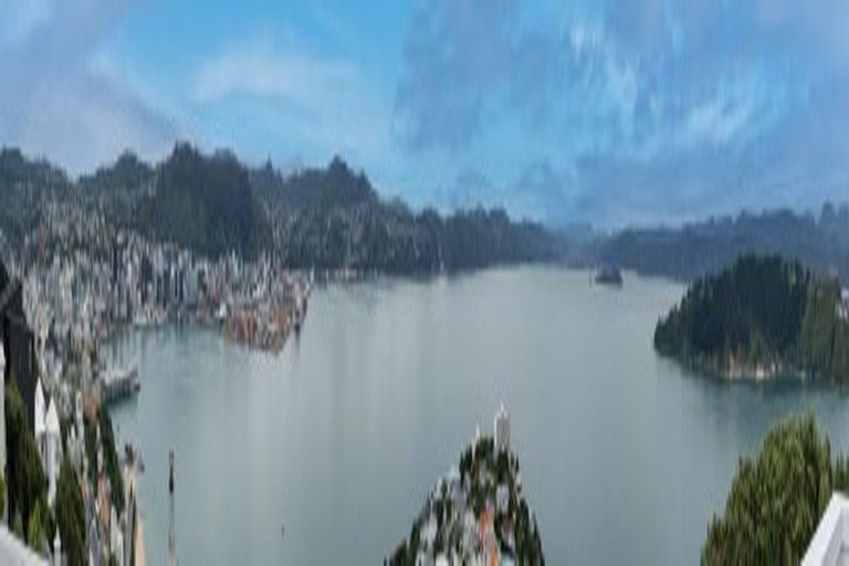 Photo of property in 4a Robieson Lane, Roseneath, Wellington, 6011