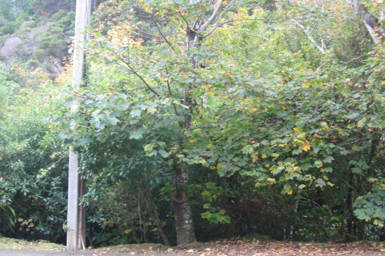 Photo of property in 75 Elmslie Road, Pinehaven, Upper Hutt, 5019