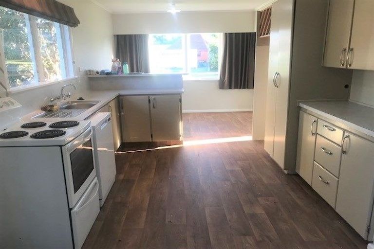 Photo of property in 53 Downing Avenue, Pirimai, Napier, 4112