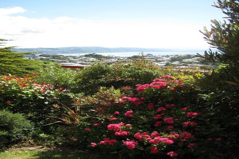 Photo of property in 13 Nebraska Way, Brooklyn, Wellington, 6021