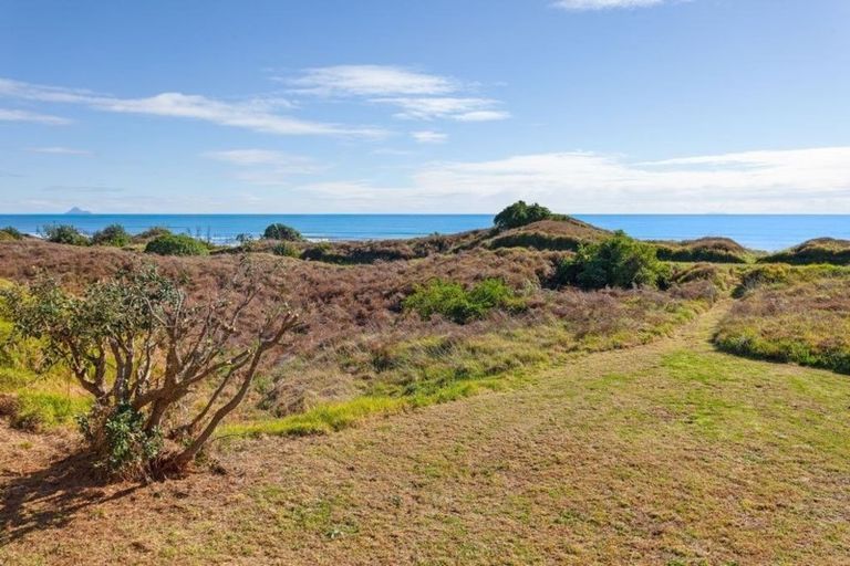 Photo of property in 817 State Highway 35, Tirohanga, Opotiki, 3197