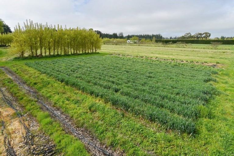 Photo of property in 407 Pesters Road, Eyrewell, Rangiora, 7476