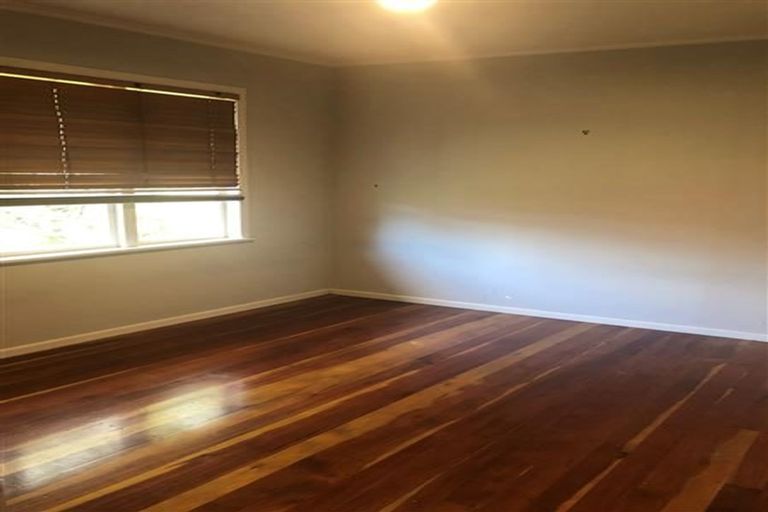 Photo of property in 17 Mildmay Road, Henderson, Auckland, 0610