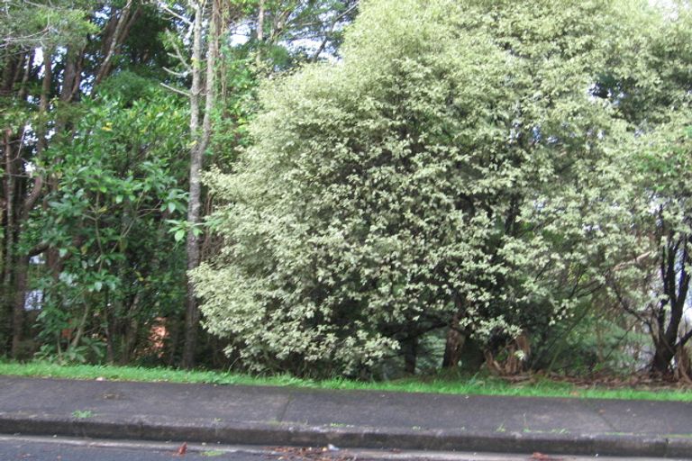 Photo of property in 4 Minnehaha Avenue, Titirangi, Auckland, 0604