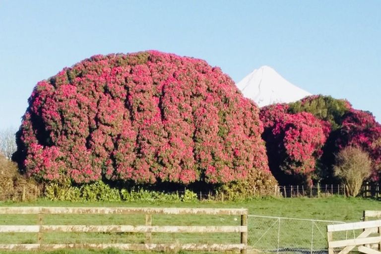 Photo of property in 24 Flint Road, Stratford, 4332