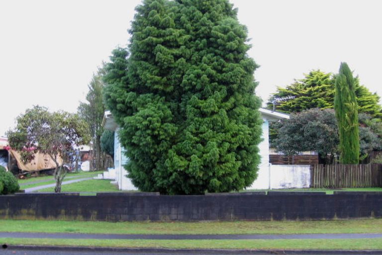 Photo of property in 8 Stafford Place, Tokoroa, 3420