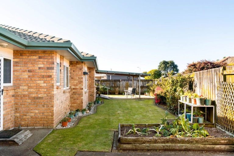 Photo of property in 27 Luculia Drive, Mount Maunganui, 3116