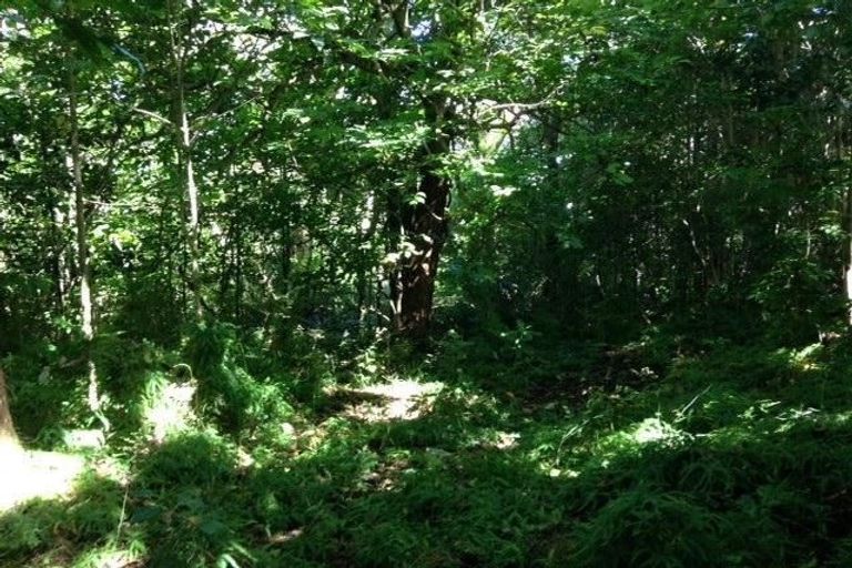 Photo of property in 6 Whaka Road, Maungaturoto, 0520