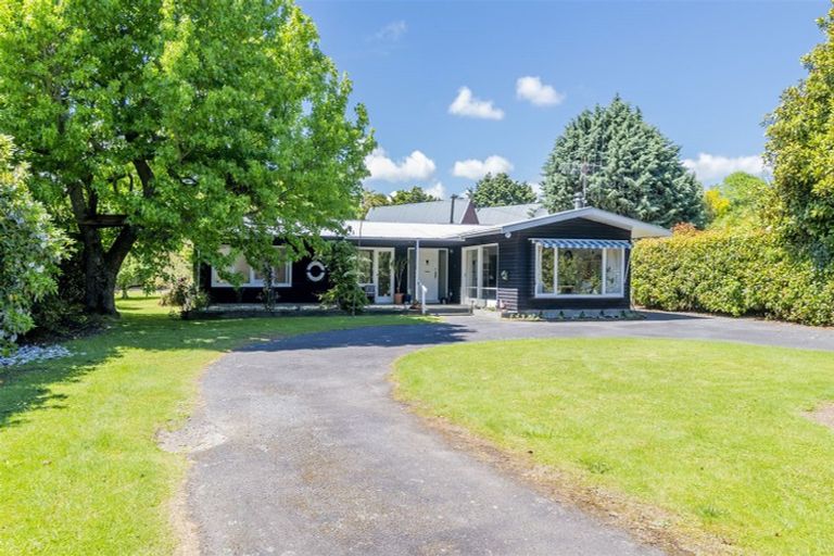 Photo of property in 61c Macarthur Street, Levin, 5510