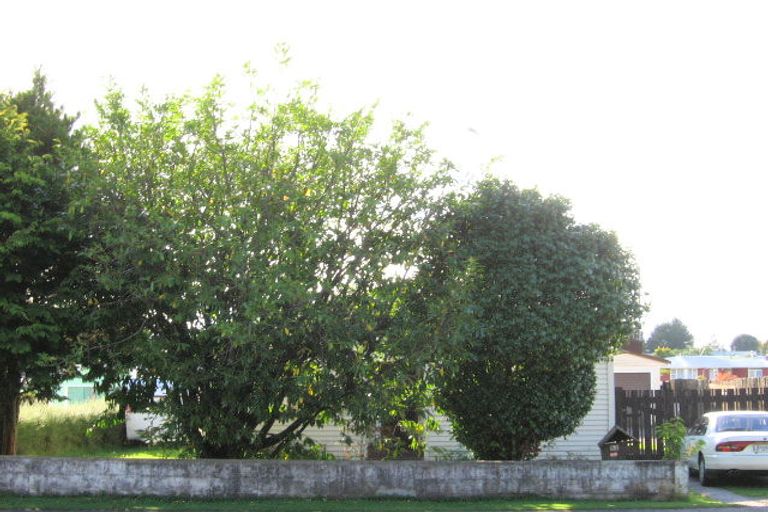 Photo of property in 52 Baird Road, Tokoroa, 3420