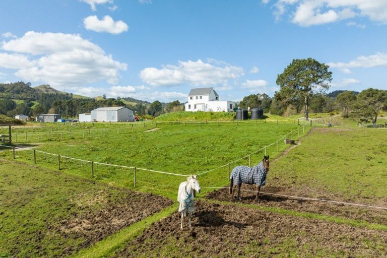 Photo of property in 259 Mcphail Road, Oropi, Tauranga, 3173