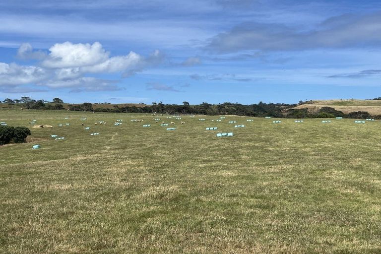 Photo of property in 76 Muriwai Road, Muriwai, 0881