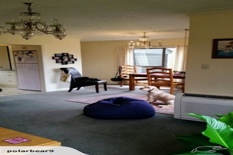 Photo of property in 6 Ostend Place, Avonhead, Christchurch, 8042