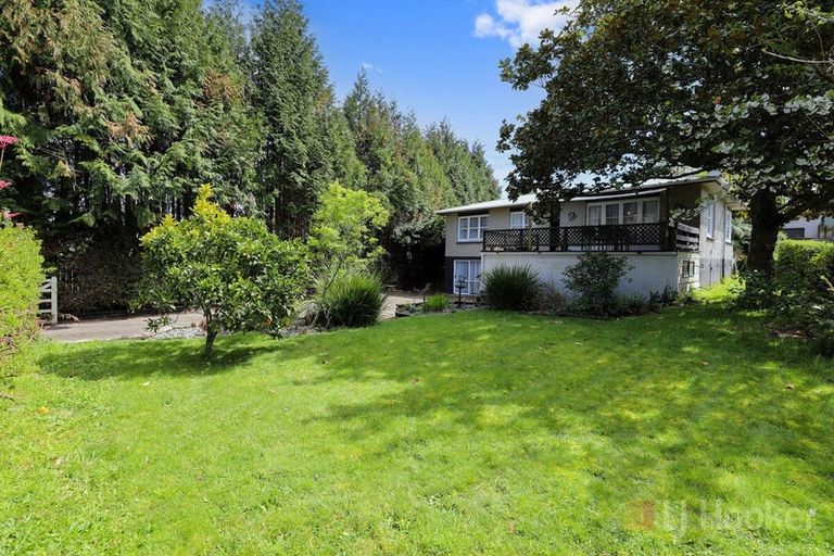 Photo of property in 175 Devon Street, Hillcrest, Rotorua, 3015