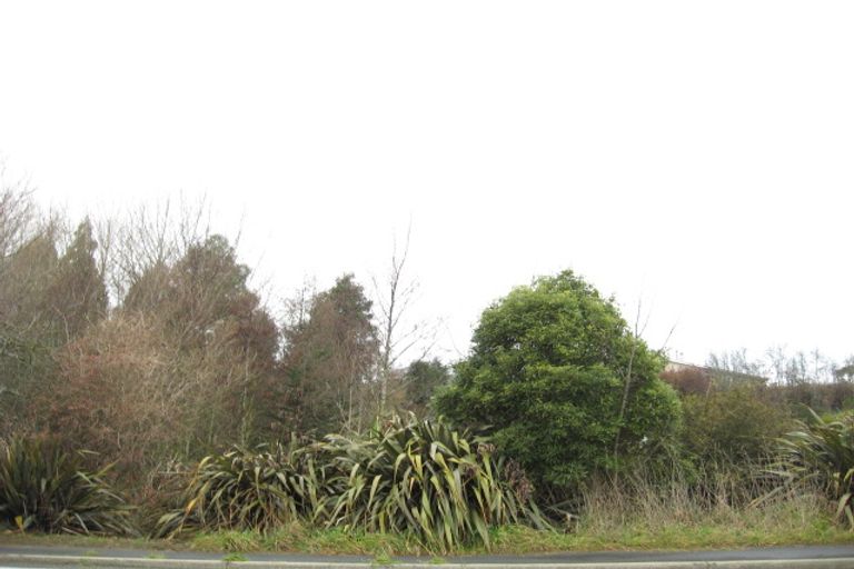 Photo of property in 156 Main Road, Waikouaiti, 9510