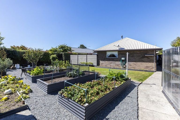 Photo of property in 53 Belcher Street, Kaiapoi, 7630