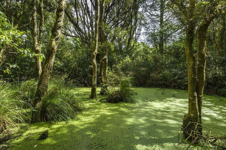 Photo of property in 180 Moonshine Valley Road, Aokautere, 4471